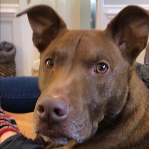 Meet your Posher, Bryan